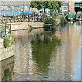 SK5739 : Reflections, Castle Wharf, Nottingham by Alan Murray-Rust