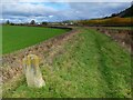 SD5380 : Old Milestone Marker 10-47 F (between bridges 154a-155), Lancaster Canal by Cactus Chris