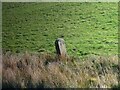 SD5277 : Old Milestone Marker 12-45 F (between bridges 147-146), Lancaster Canal by Cactus Chris