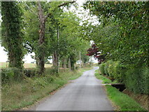  : Westmill Road near Buntingford by Malc McDonald