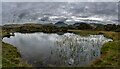 NY1912 : Innominate Tarn, Haystacks, Lake District by Brian Deegan