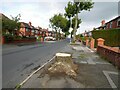 SJ9593 : Tree stump on Knott Lane by Gerald England