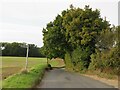 TL3121 : Whempstead Road, near Stevenage by Malc McDonald