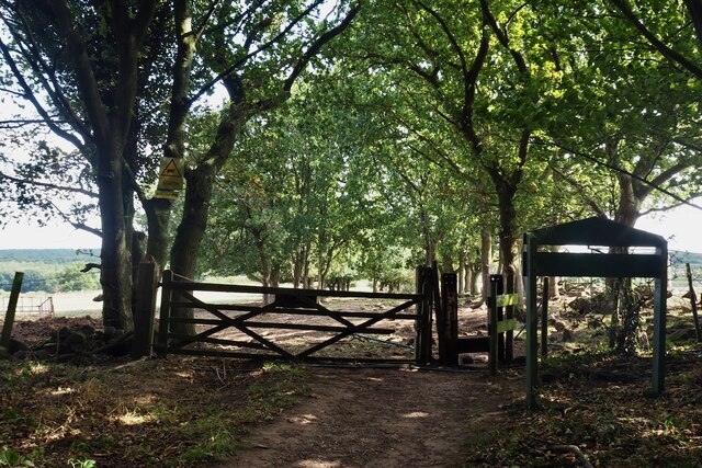 Gate on the edge of Heath Wood