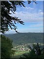 SO5300 : Tintern Abbey viewed from the Devil's Pulpit by Ben Meyrick