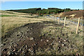 NY9853 : Spoil heaps, near location of former Acton High Lead Smelt Mill by Andrew Curtis