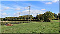 SJ7600 : Farmland and woodland south of Beckbury in Shropshire by Roger  D Kidd