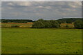 SK6592 : Water meadows along the River Idle from the railway at Bawtry by Christopher Hilton