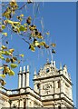 SK5339 : Wollaton Hall and catalpa tree by Alan Murray-Rust