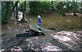 SU9585 : Footbridge in the Forest by Des Blenkinsopp