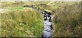 SD6985 : View south along Flinter Gill from bridge on Green Lane by Roger Templeman