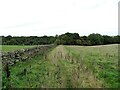 NZ1048 : Field path to High House Wood by Robert Graham