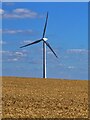 SE5007 : Wind turbine beyond a wheat field by Graham Hogg