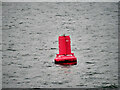 SD2503 : Crosby Channel Navigation Buoy C6 by David Dixon