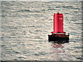 SD2204 : Liverpool Bay, Queen's Channel Marker Buoy Q12 by David Dixon