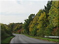 TL5223 : Autumn tints on Bury Lodge Lane, near Stansted Mountfitchet by Malc McDonald