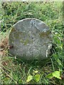 SO7800 : Boundary Marker, Hetty Pegler's Tump, Uley by Philip Wiseman