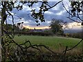 SO7979 : Ruined house near Shatterford by Mat Fascione