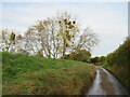 TL5924 : Brown's End Road, near Great Dunmow by Malc McDonald