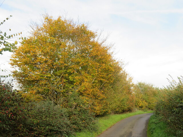 Brown's End Road, near Great Dunmow