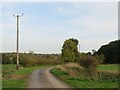 TL5925 : Brown's End Road, near Great Dunmow by Malc McDonald