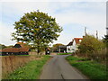 TL6024 : Brown's End Road, near Great Dunmow by Malc McDonald