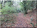 TL6221 : Public footpath near Great Dunmow by Malc McDonald