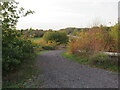 TL6021 : Flitch Way, near Great Dunmow by Malc McDonald