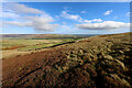 NY9936 : Wall corner on Catterick Moss by Andy Waddington