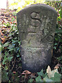 SD9113 : Canal Milestone, Belfield by David Garside