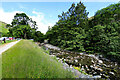 NY3816 : Glenridding Beck passes Gillside Campsite by Andy Waddington