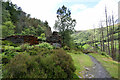 SH7561 : Ruined mine buildings above Hafod Arthen by Andy Waddington