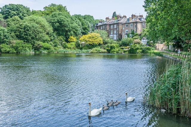 Number 2 Pond, Hampstead Ponds