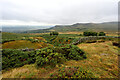 SH7371 : Stream draining southeast below Tal y Fan by Andy Waddington