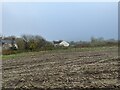 SJ7949 : Maize stubble in November by Jonathan Hutchins