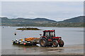 SH2741 : Bringing mussels ashore, Porth Dinllaen by Bill Harrison