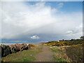 NY1256 : The Cumbria Coastal Way at Guards by Adrian Taylor