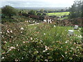 TQ4551 : Looking across the walled garden at Chartwell by Marathon