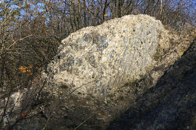 Former quarry nodular limestone near Dudley