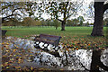 TQ2874 : After the Rain, Clapham Common by Des Blenkinsopp