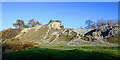 SO9392 : Limestone reef mounds on Wren's Nest Hill, Dudley by Roger  D Kidd