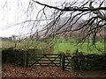 NY1520 : Gate on footpath near Keswick by Malc McDonald