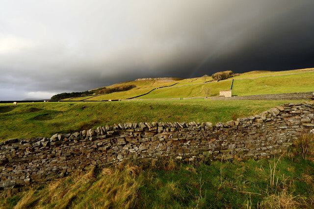 Sedbusk High Pasture