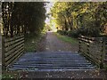 SK6174 : Cattle grid on NCN Route 6 by David Lally