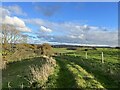 SJ7851 : Countryside near Park End by Jonathan Hutchins