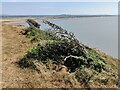 ST2858 : Wind-shaped trees on Brean Down by Mat Fascione