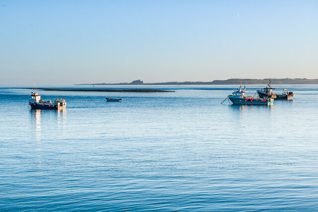 Boats in The Harbour