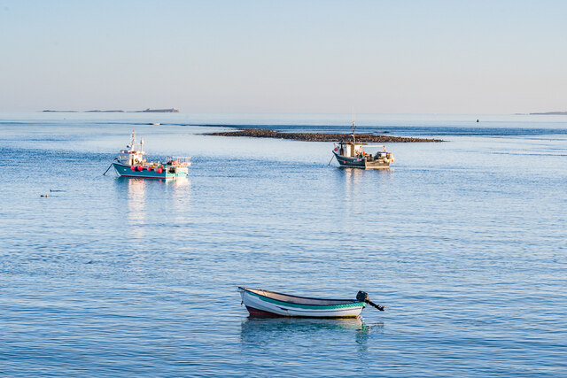 Boats in The Harbour