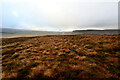 NY8330 : Widdybank Fell overlooking Upper Teesdale by Andy Waddington