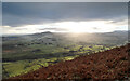 NY3529 : Bracken on Souther Fell by Andy Waddington